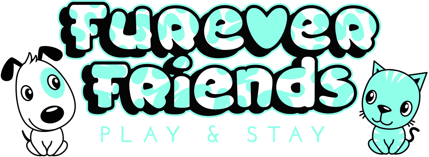 Furever Friends Play and Stay